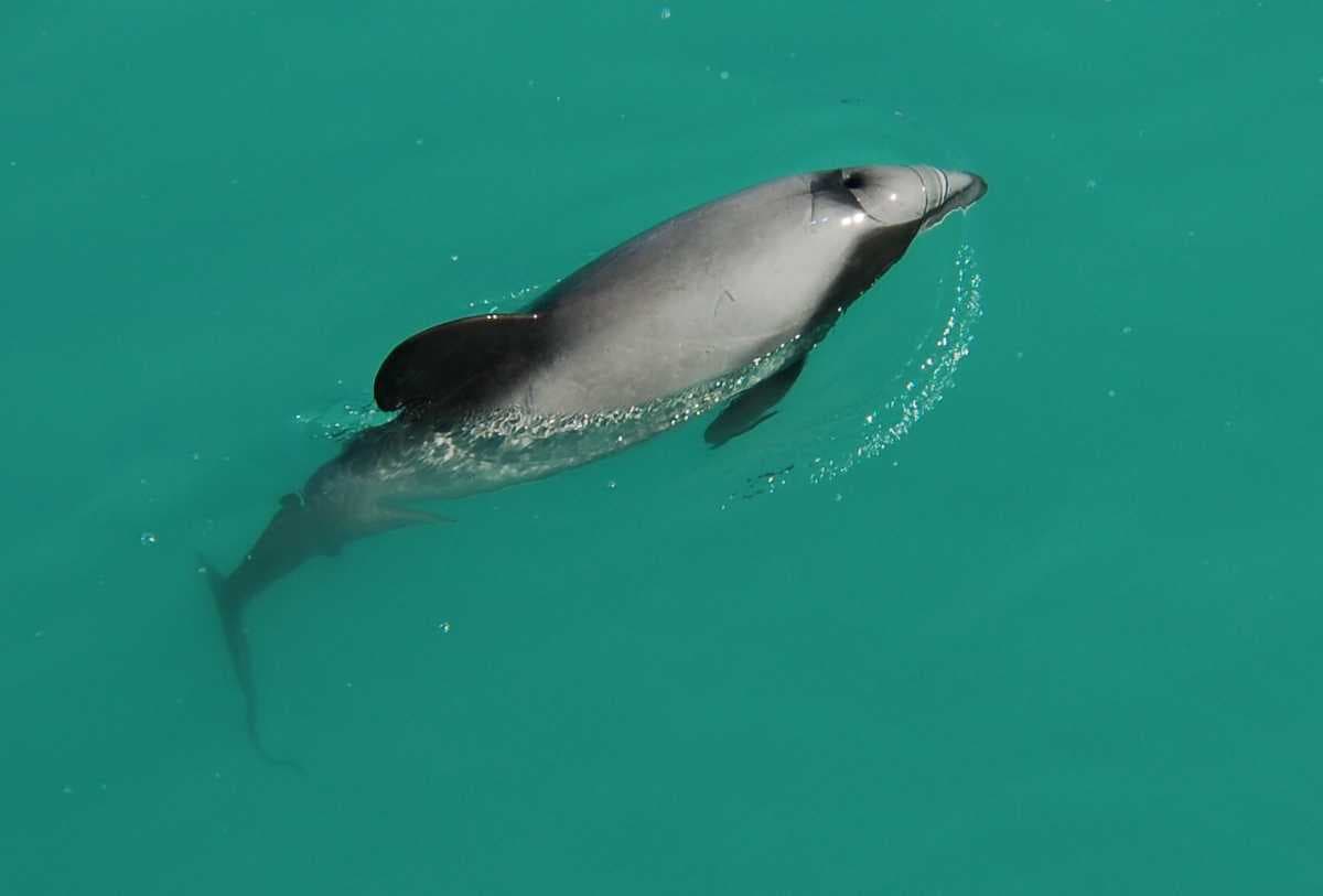 New Zealand travel image