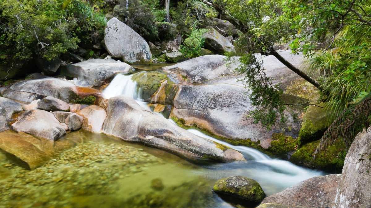 Abel Tasman National Park travel image