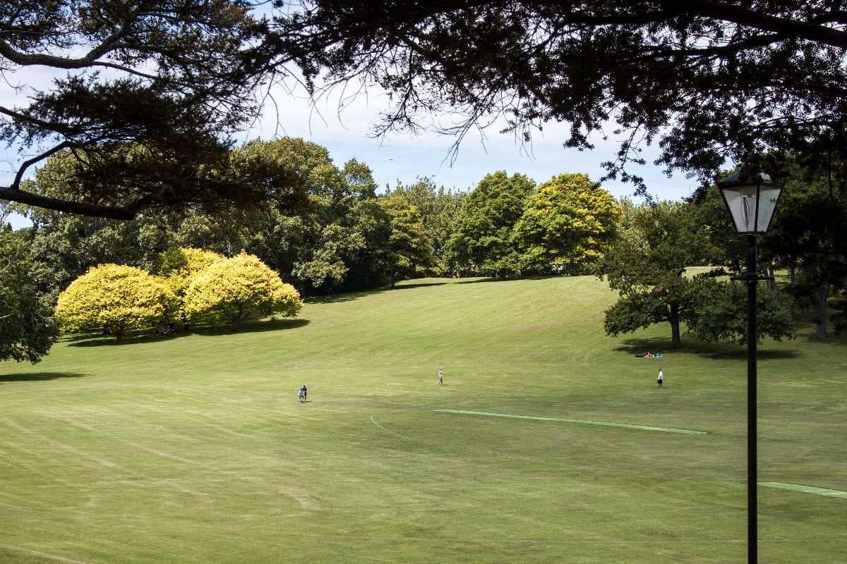 Auckland Domain