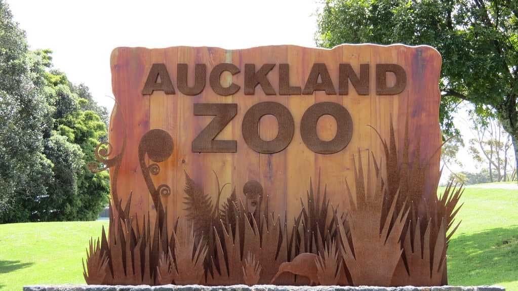Auckland Zoo