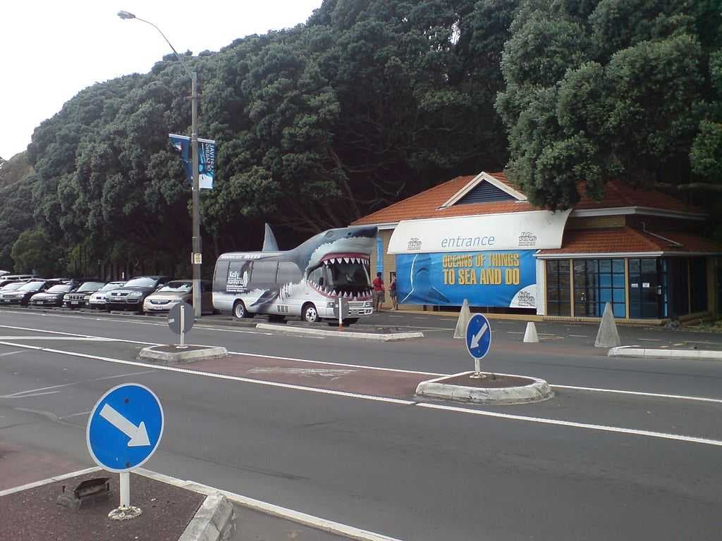Sea life entrance