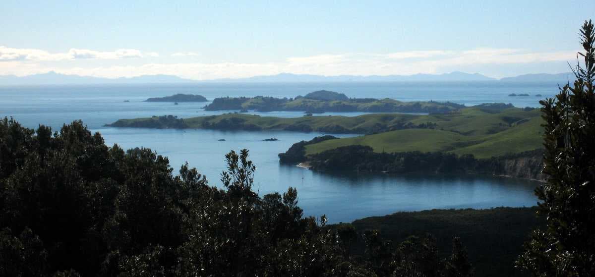 Motupatu island