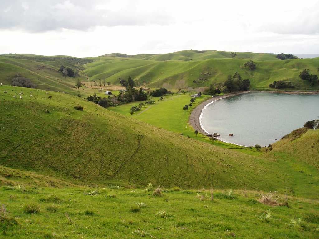 Motutapu island beach