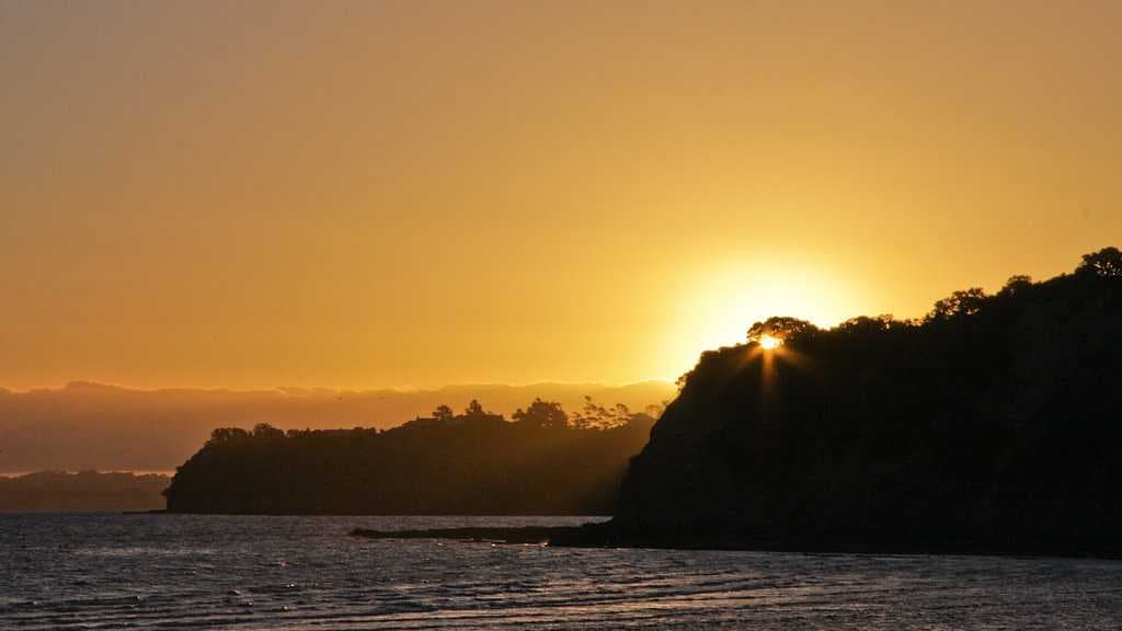 Shakespear Regional Park at sunset