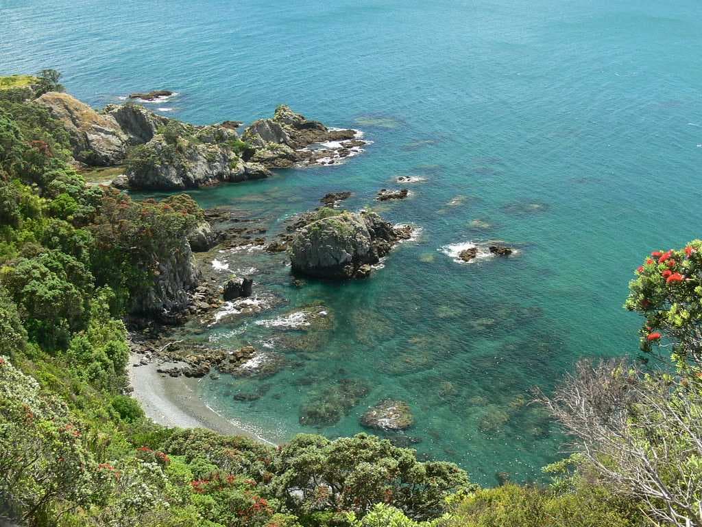 Tiritiri Matangi Island Located at Hauraki Gulf of New Zealand