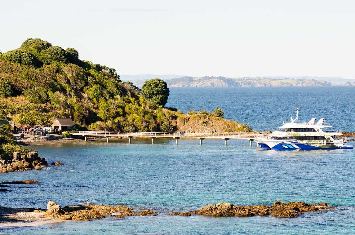 Pier at Tiritiri Matangi