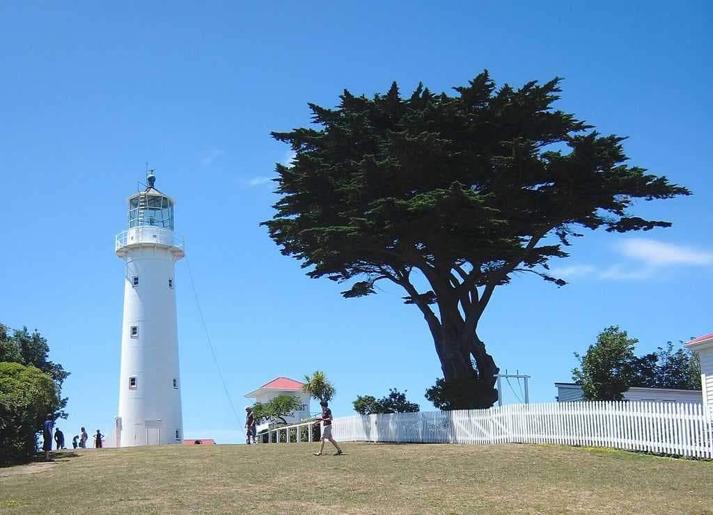 Light House - Tiritiri Matangi Island