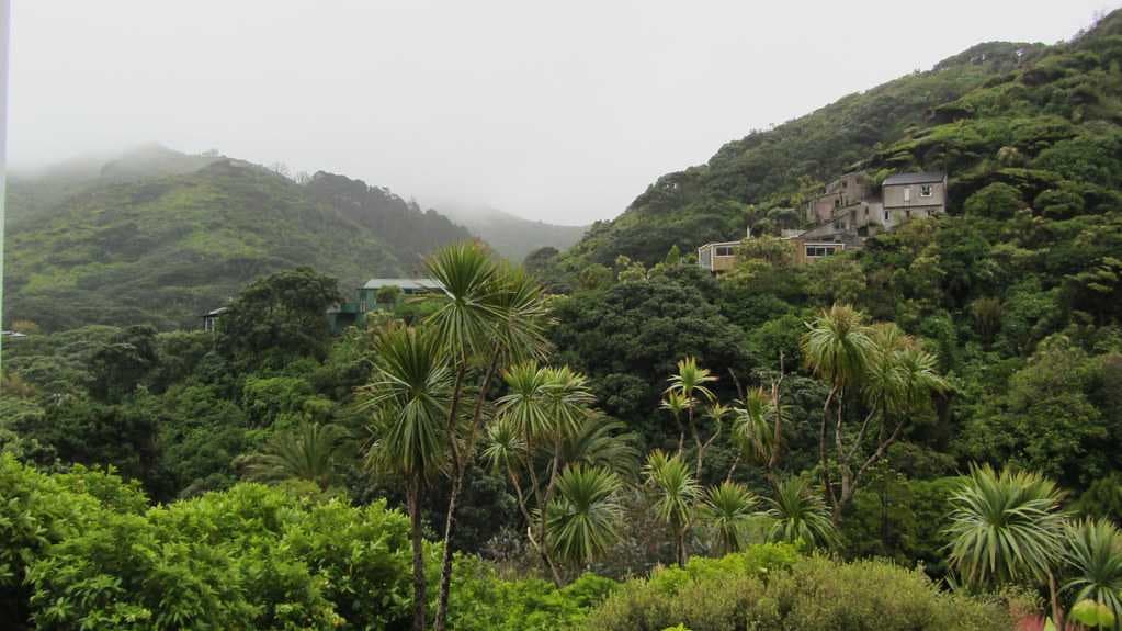 Waitakere Ranges Regional Park