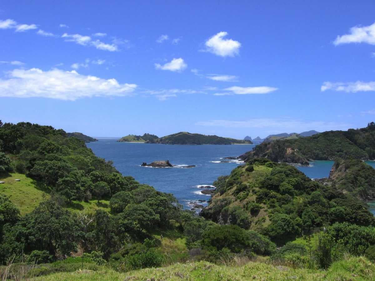 picture of bay of islands