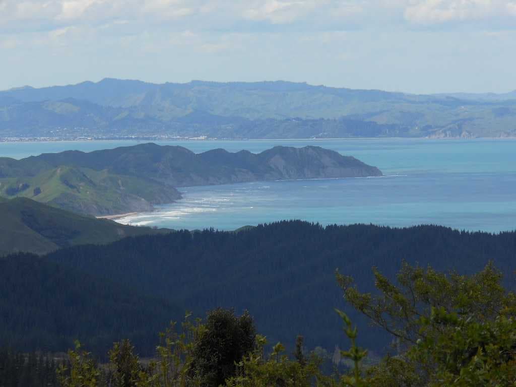 Poverty Bay