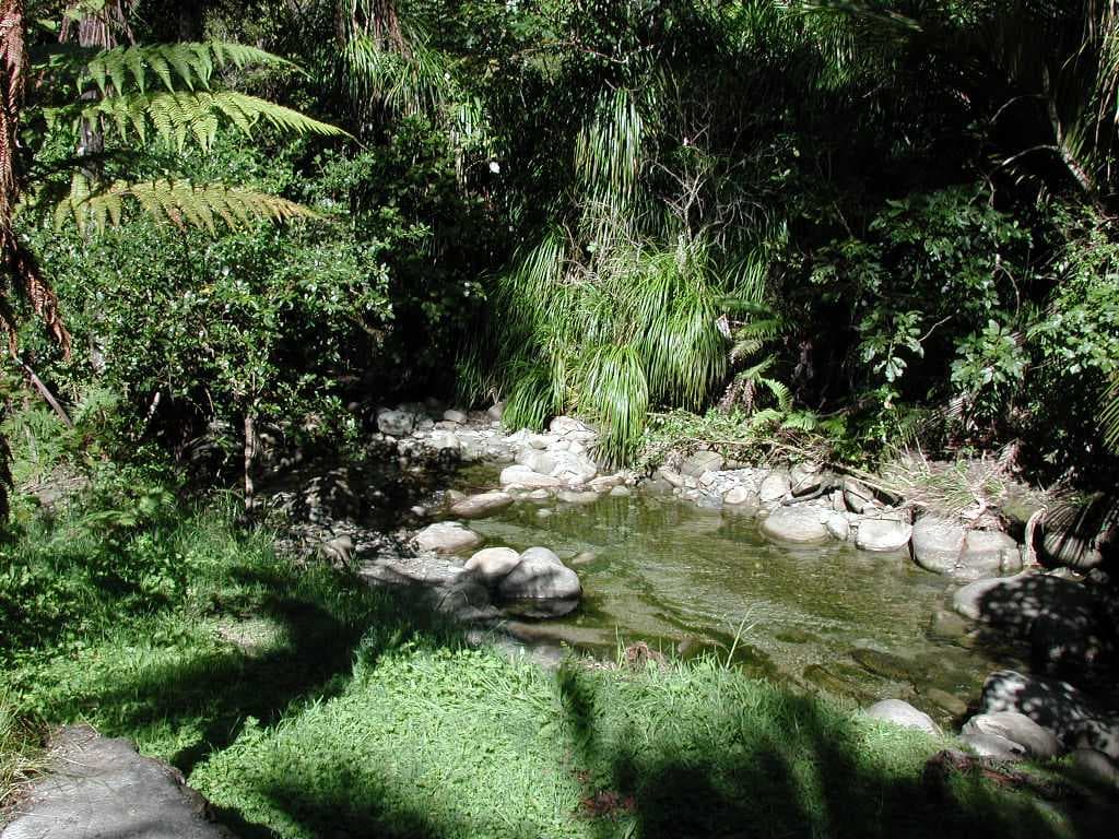 Morere Hotsprings