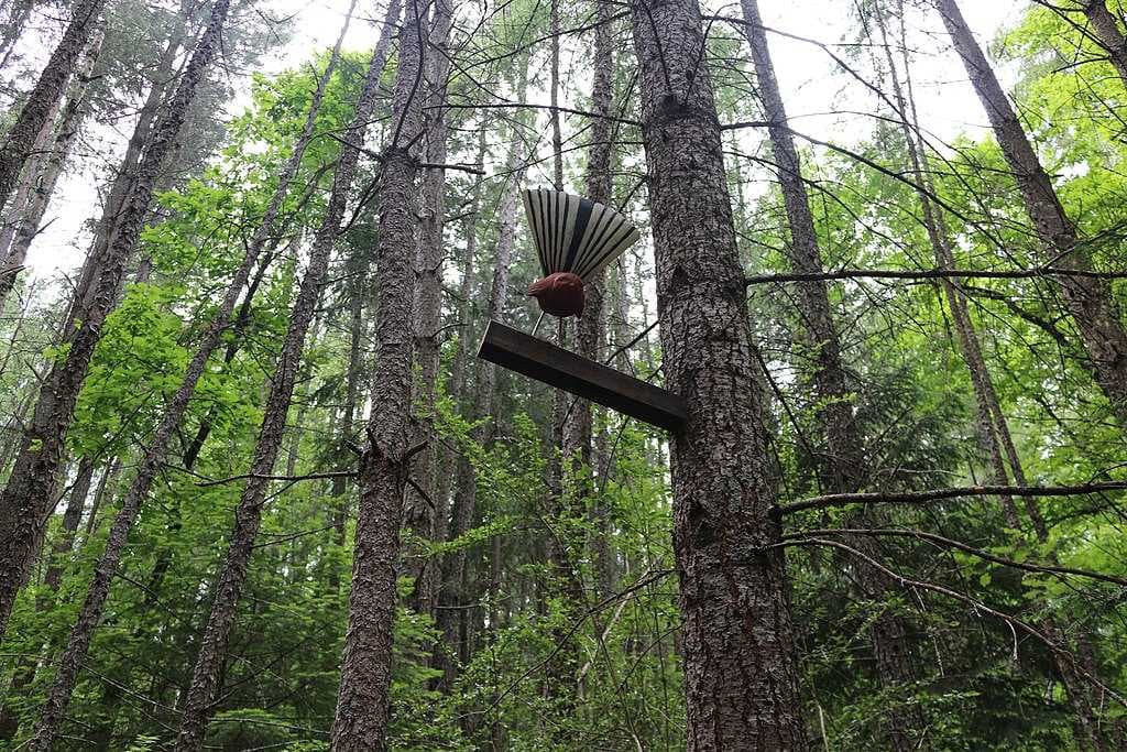 An art trail, with sculptures by Andrew Lyons, exists within the Hanmer Springs Forest