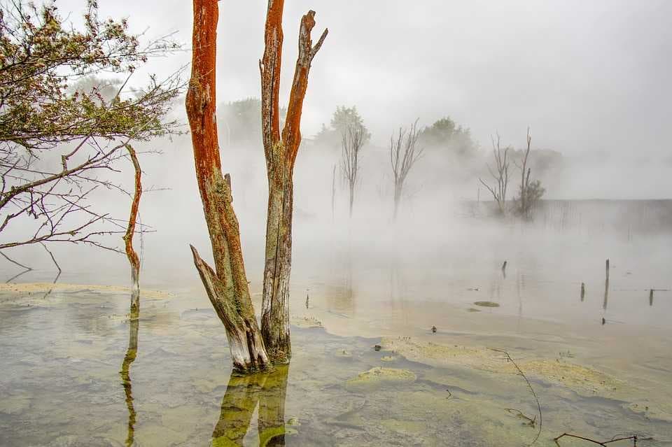 Hot Springs in Rotorua