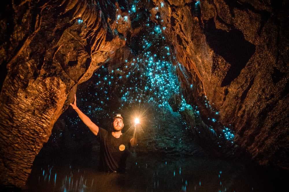 Waitomo Glowworm Caves - Popular for its Arachnocampa luminosa
