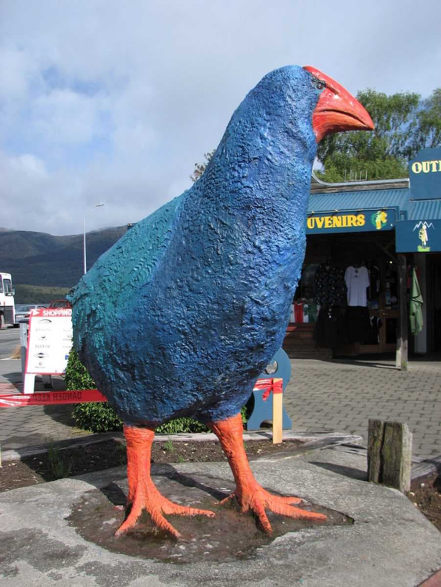 Te Anau travel image