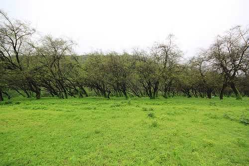 Wadi Darbat is known for its picturesque Scenery