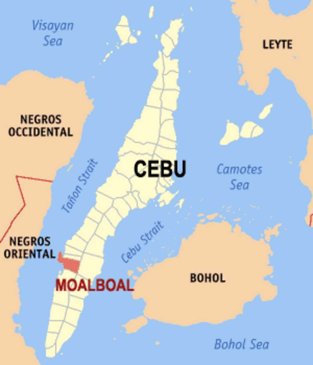 Moalboal travel image