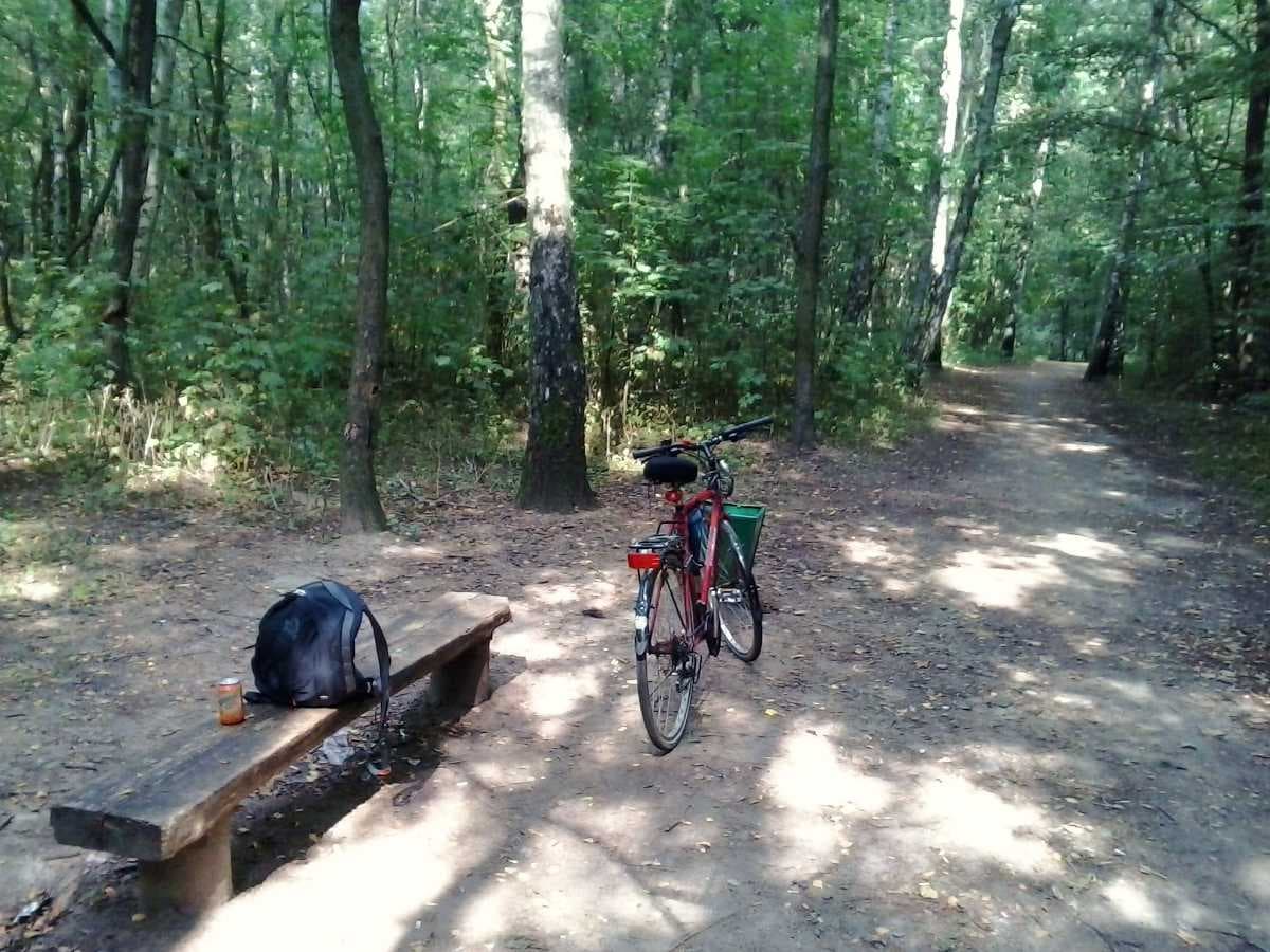 Giba Gorge Biking, Durban, South Africa-holidify