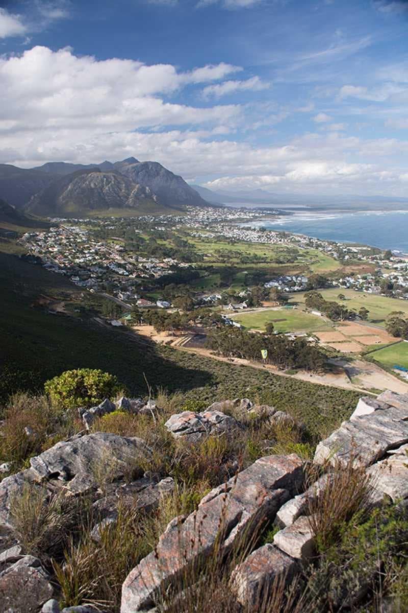 Hermanus travel image