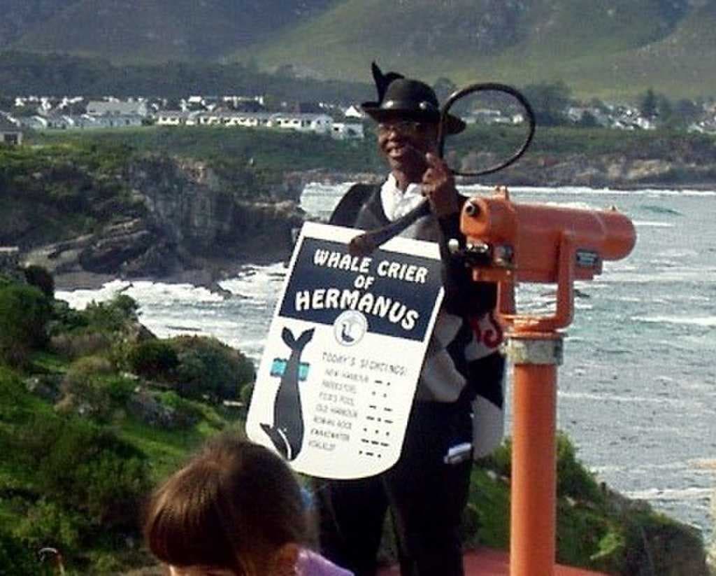 "Whale Crier" (recently retired Wilson Salukazana)