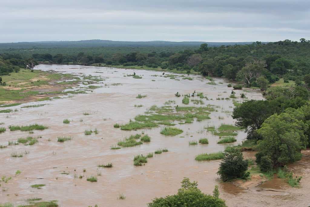 Kruger National Park travel image