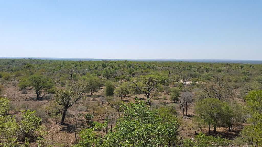 Kruger National Park travel image