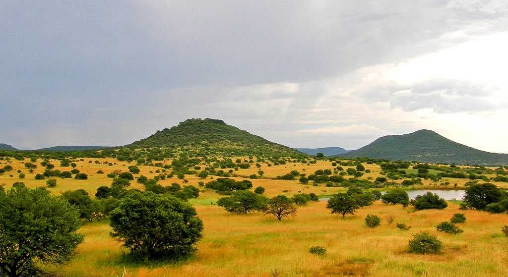 Upland savanna near Pietermaritzburg