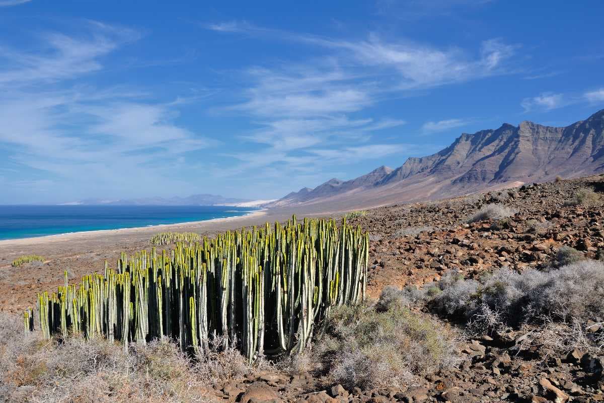 Canary Islands travel image