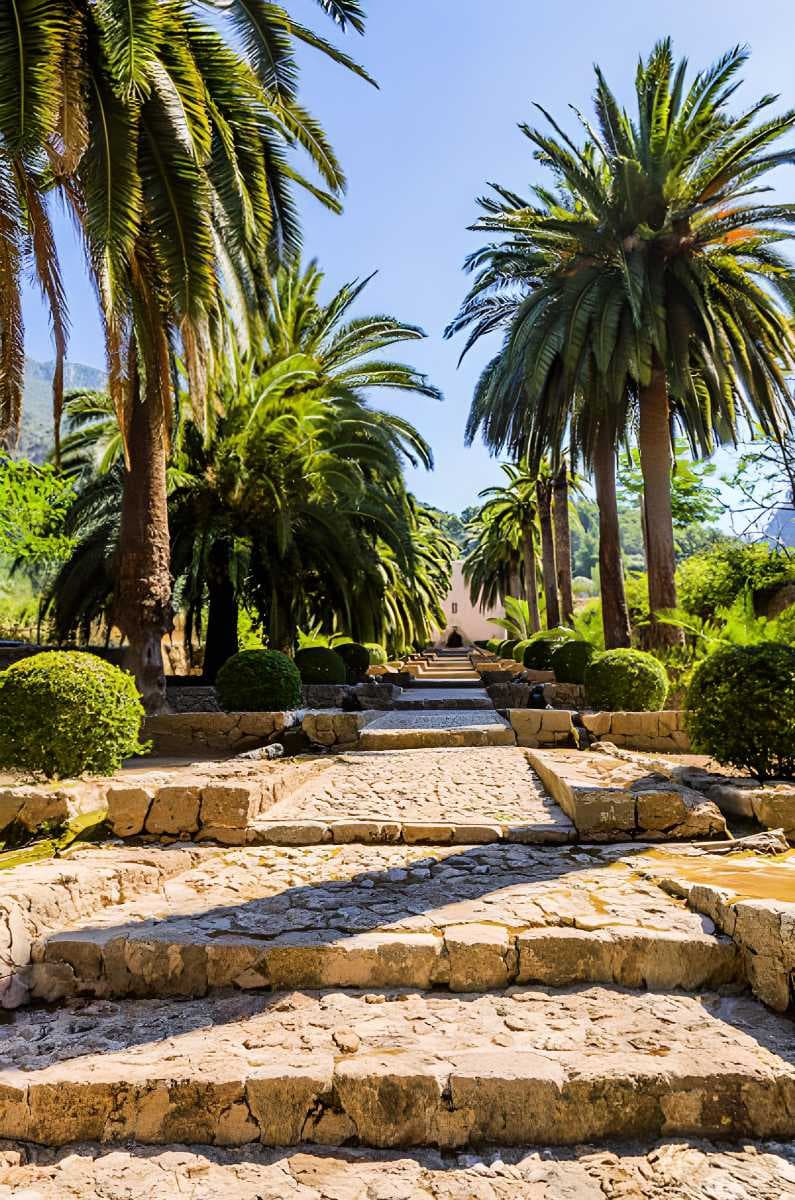Beautiful image of gardens of Alfabia