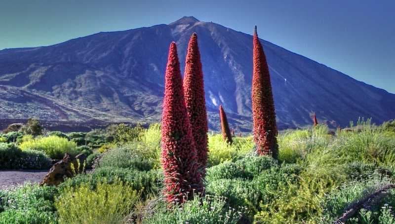 Tenerife travel image
