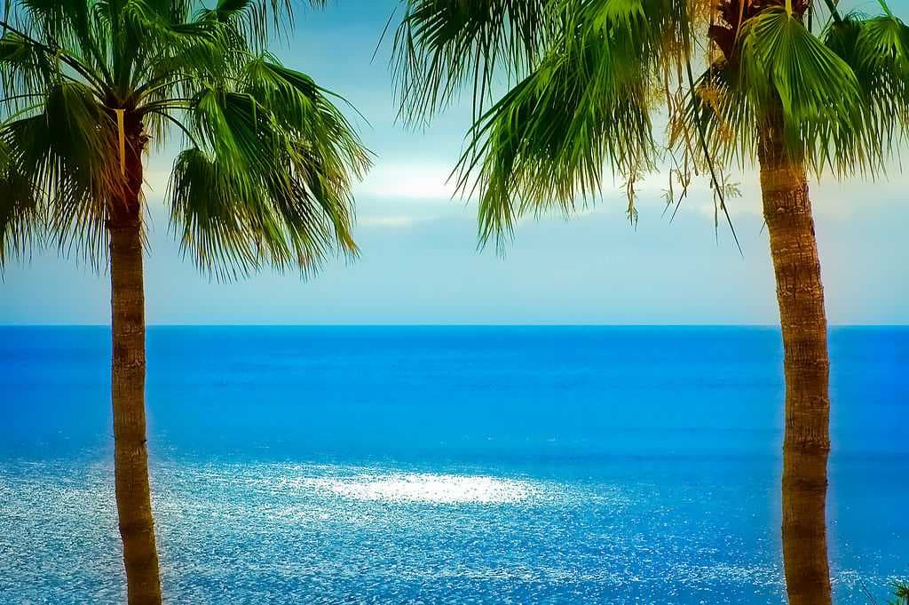 View from Los Gigantes