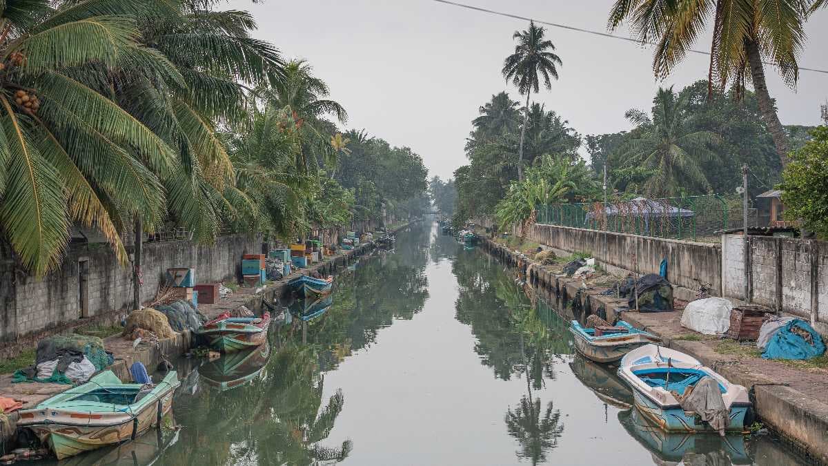 The Hamilton Canal, or Dutch Canal, connects Puttalam to Colombo, passing through Negombo along the way