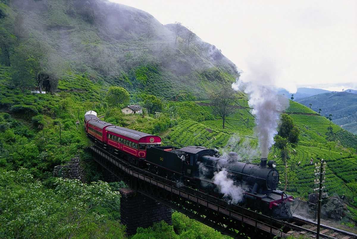 Nuwara Eliya travel image