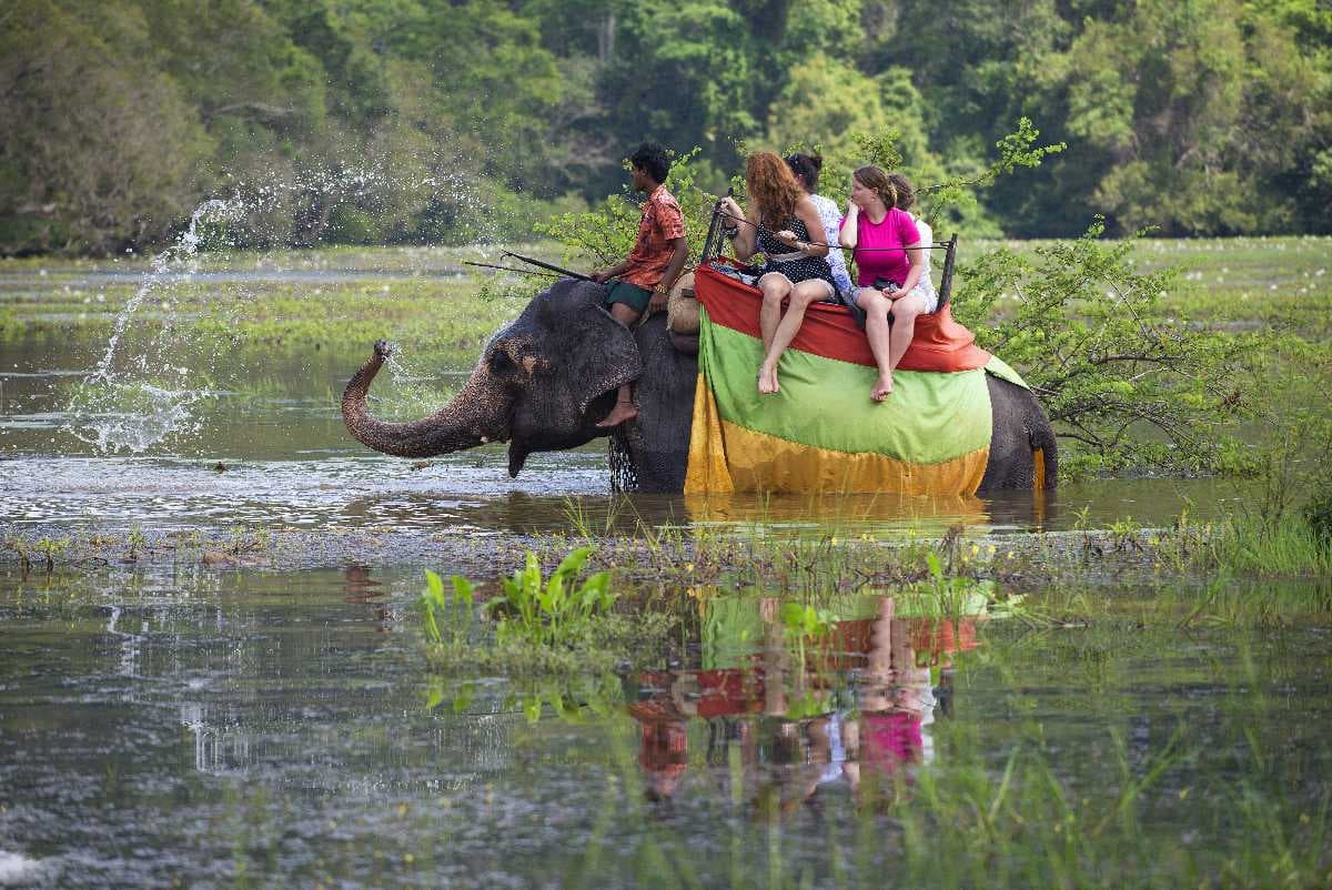 Siguri Elephant Ride