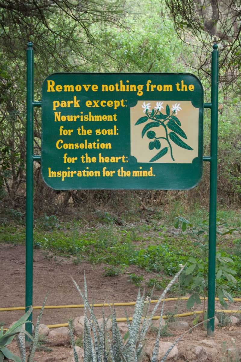 Lake Manyara National Park