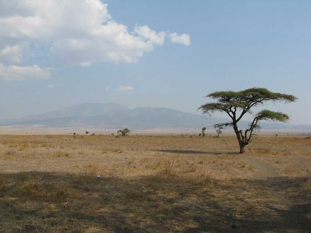 Serengeti Plains