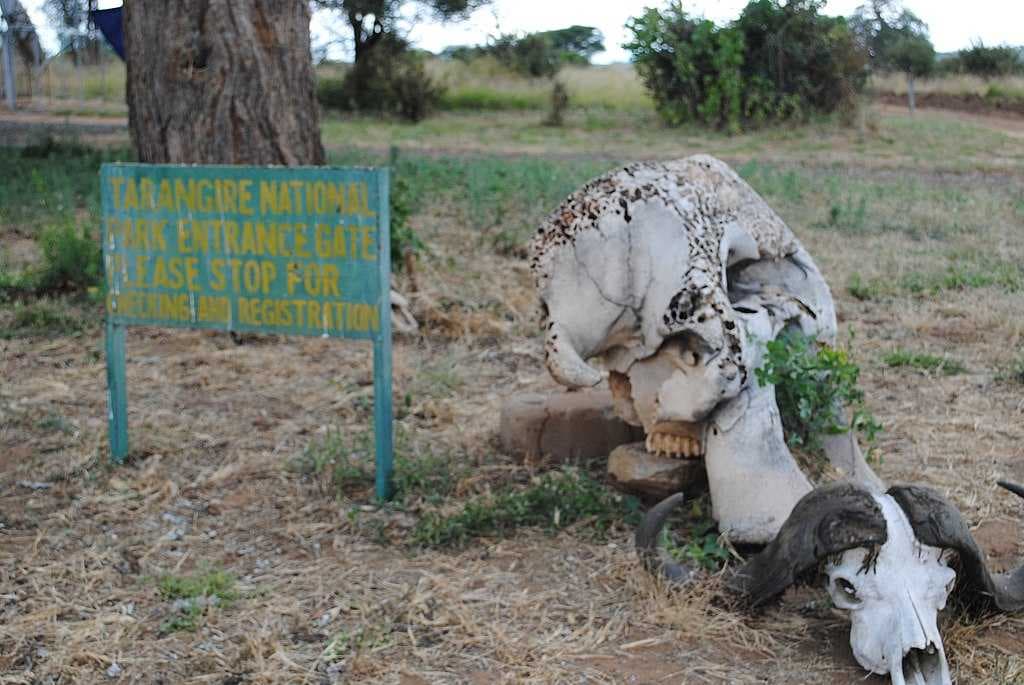 Tarangire National Park