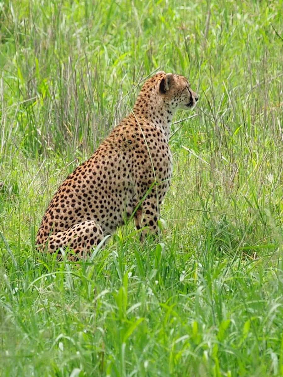 Tarangire National Park travel image
