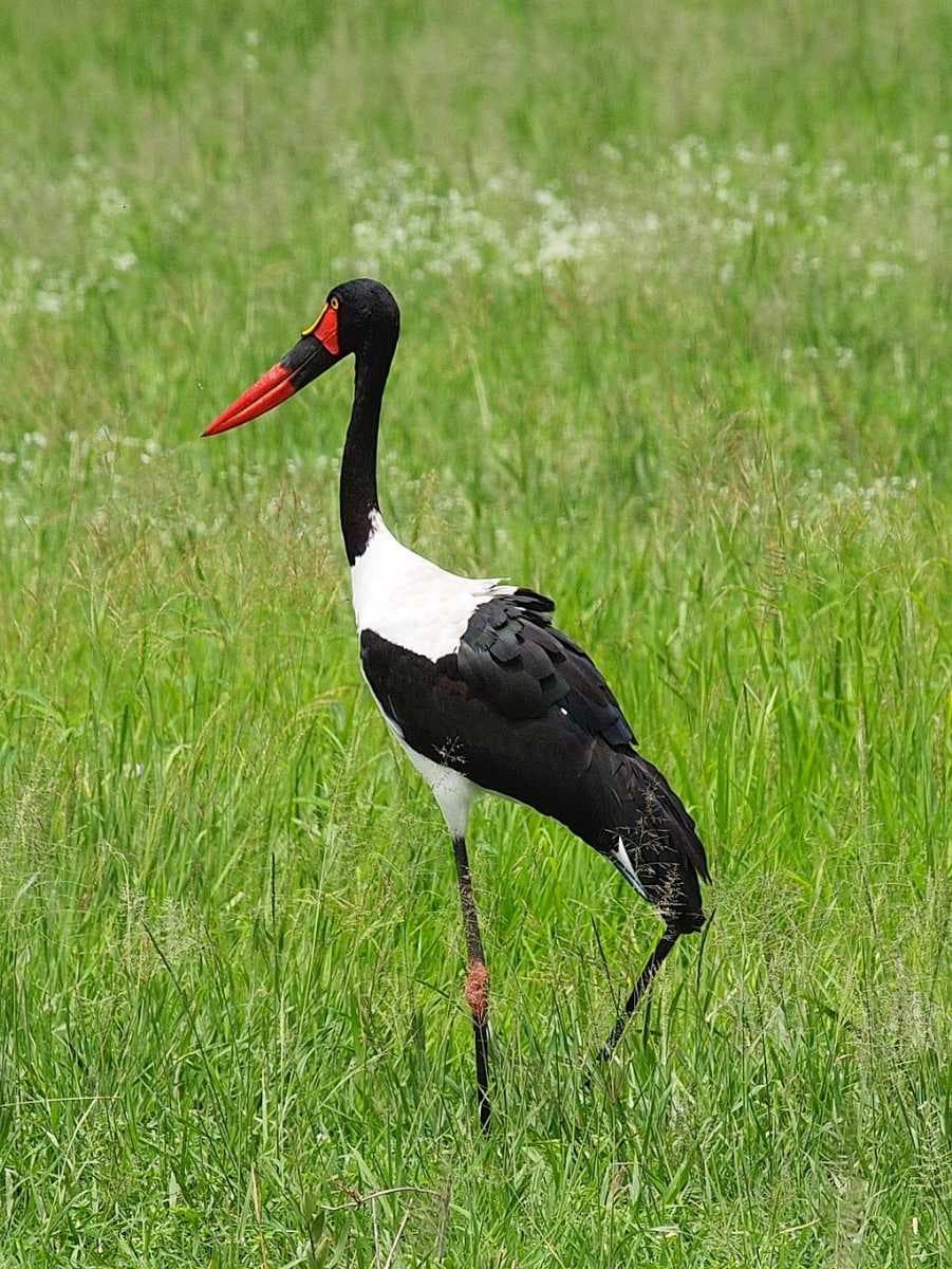 Tarangire National Park travel image