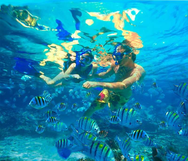 Scuba diving in Thailand offers miles and miles of pristine tropical coral reefs and an unmatched marine life experience.