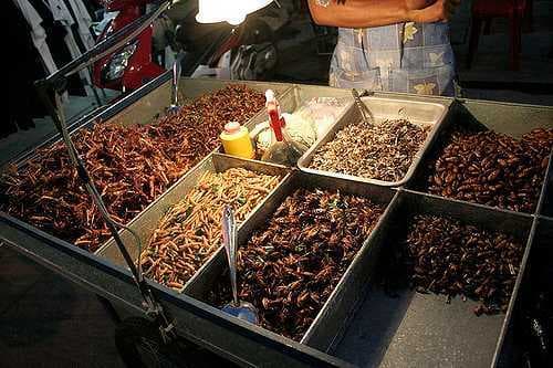 Fried Insects at Khao San Road