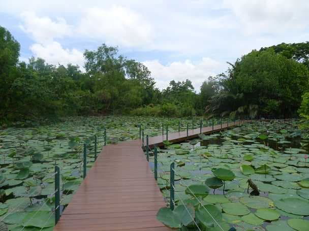 King Rama IX Park travel image
