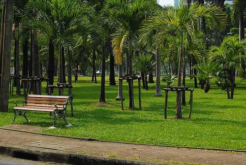 Lumphini Park travel image