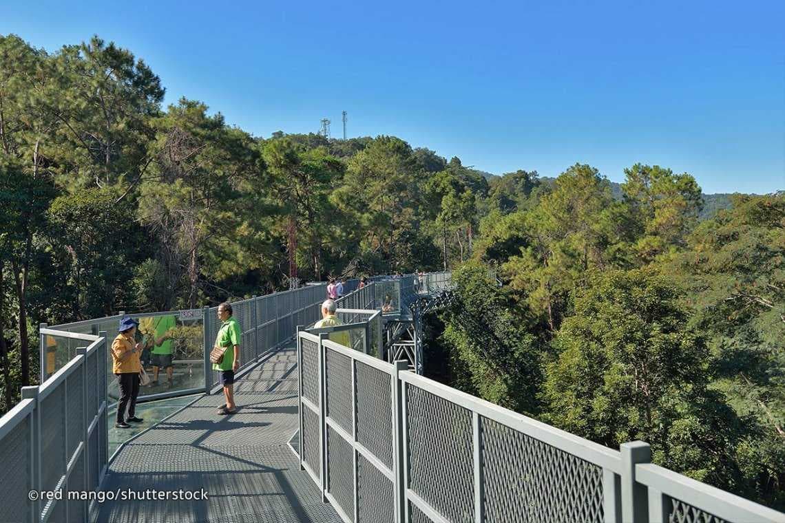 Canopy Walkway
