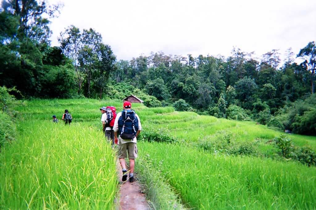 Hiking