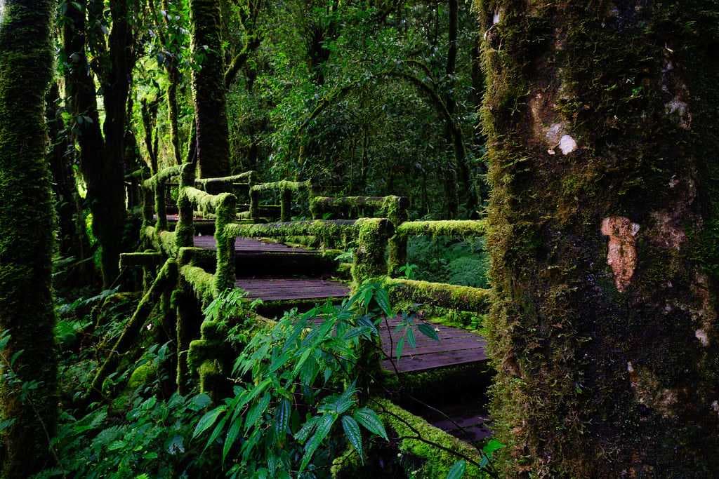 Hiking