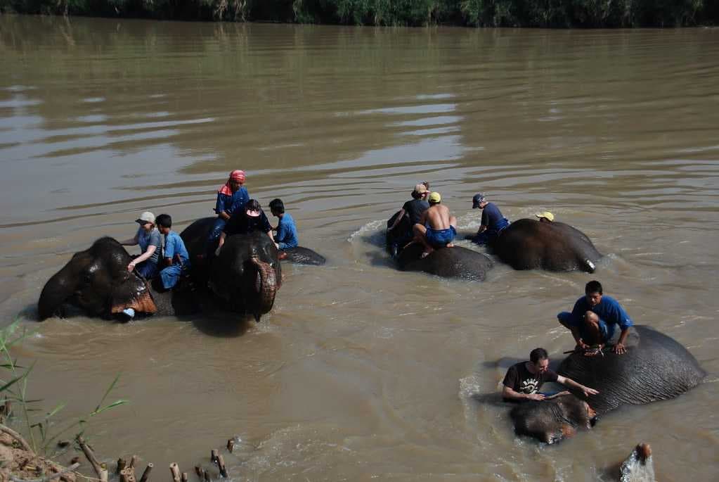 Anantara Elephant Camp, Golden Triangle