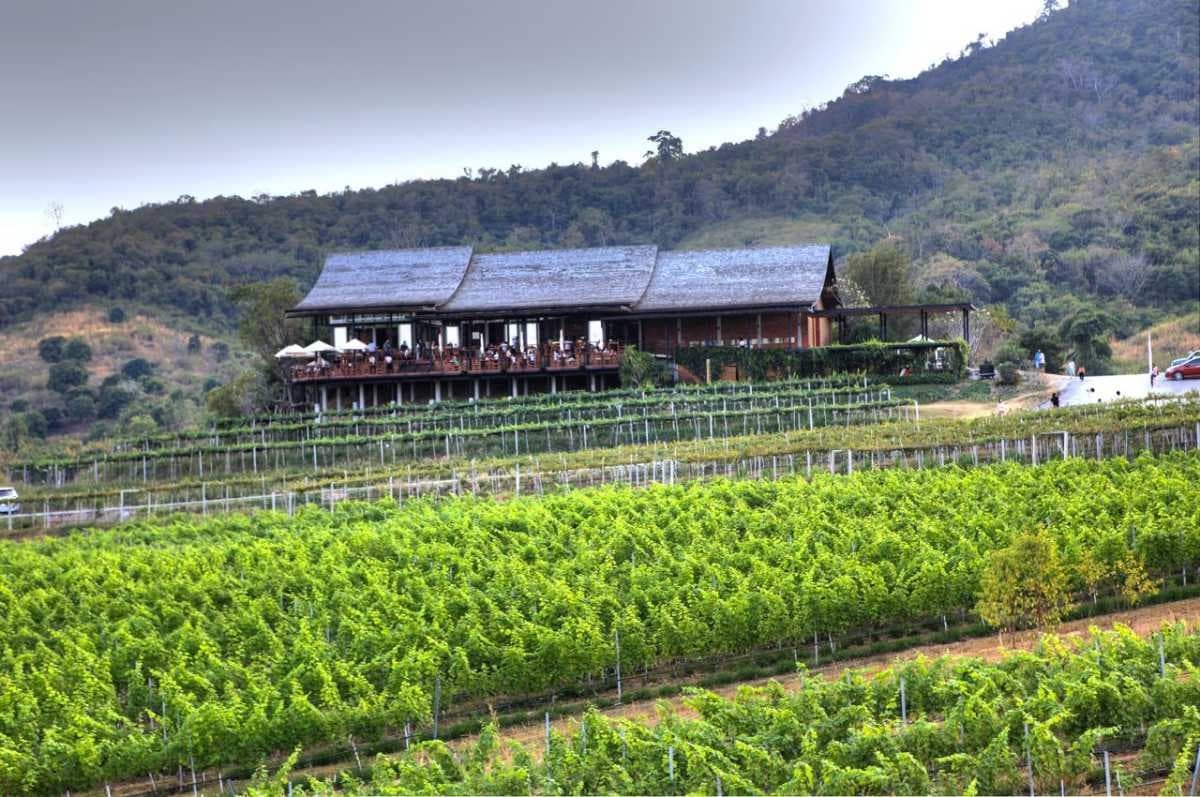 Monsoon Valley Vineyard, Hua Hin