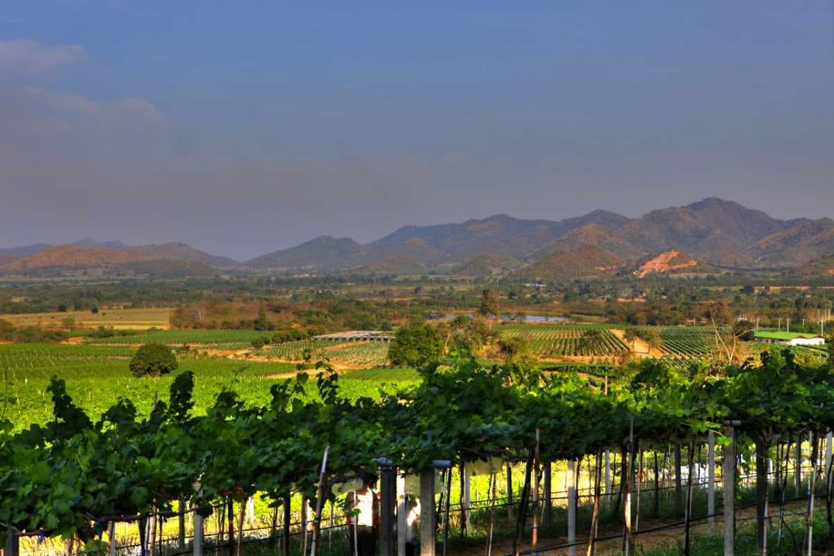 Awe-Inspiring View of Hua Hin Hills From Monsoon Valley Vineyard