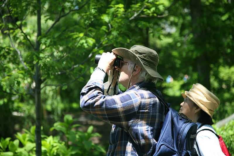 Khao Laem National Park - Also a Favourite Spot for Bird Watching